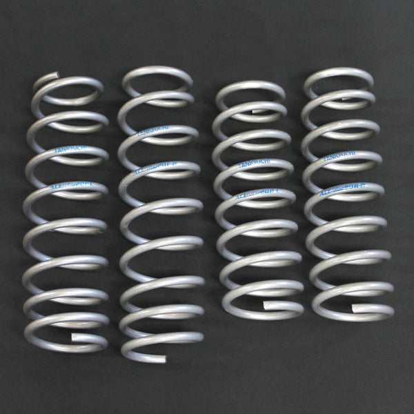 TANIGUCHI 20mm Lift Dual-rate Coil Springs Jimny JB74 (2018-ON)