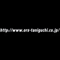 TANIGUCHI URL Decal 58x4cm