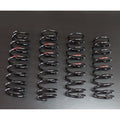 TANIGUCHI 40mm Lift Dual-rate Coil Springs Jimny JB74 (2018-ON)