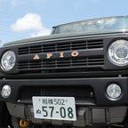APIO Emblem