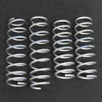 TANIGUCHI 20mm Lift Dual-rate Coil Springs Jimny JB74 (2018-ON)