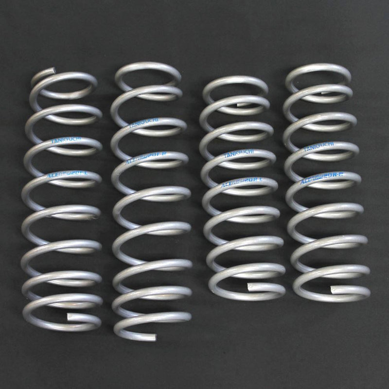 TANIGUCHI 20mm Lift Dual-rate Coil Springs Jimny JB74 (2018-ON)