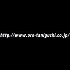 TANIGUCHI URL Decal 58x4cm