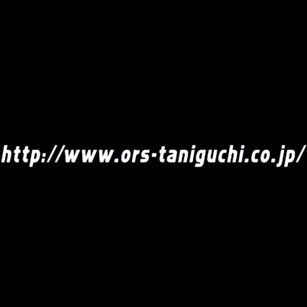 TANIGUCHI URL Decal 58x4cm