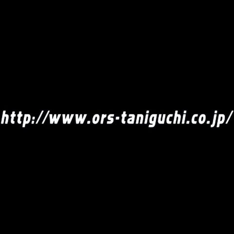 TANIGUCHI URL Decal 58x4cm