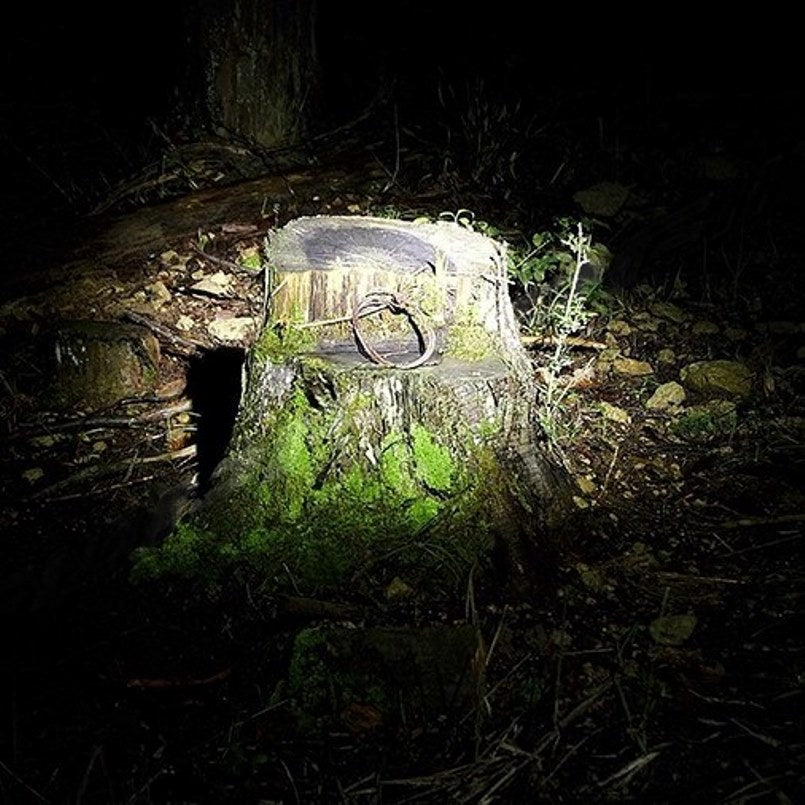 IPF LED Searchlight with Remote Control (924SL)